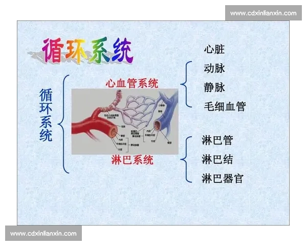 全面解析人体各系统机能与健康调控的科学指南